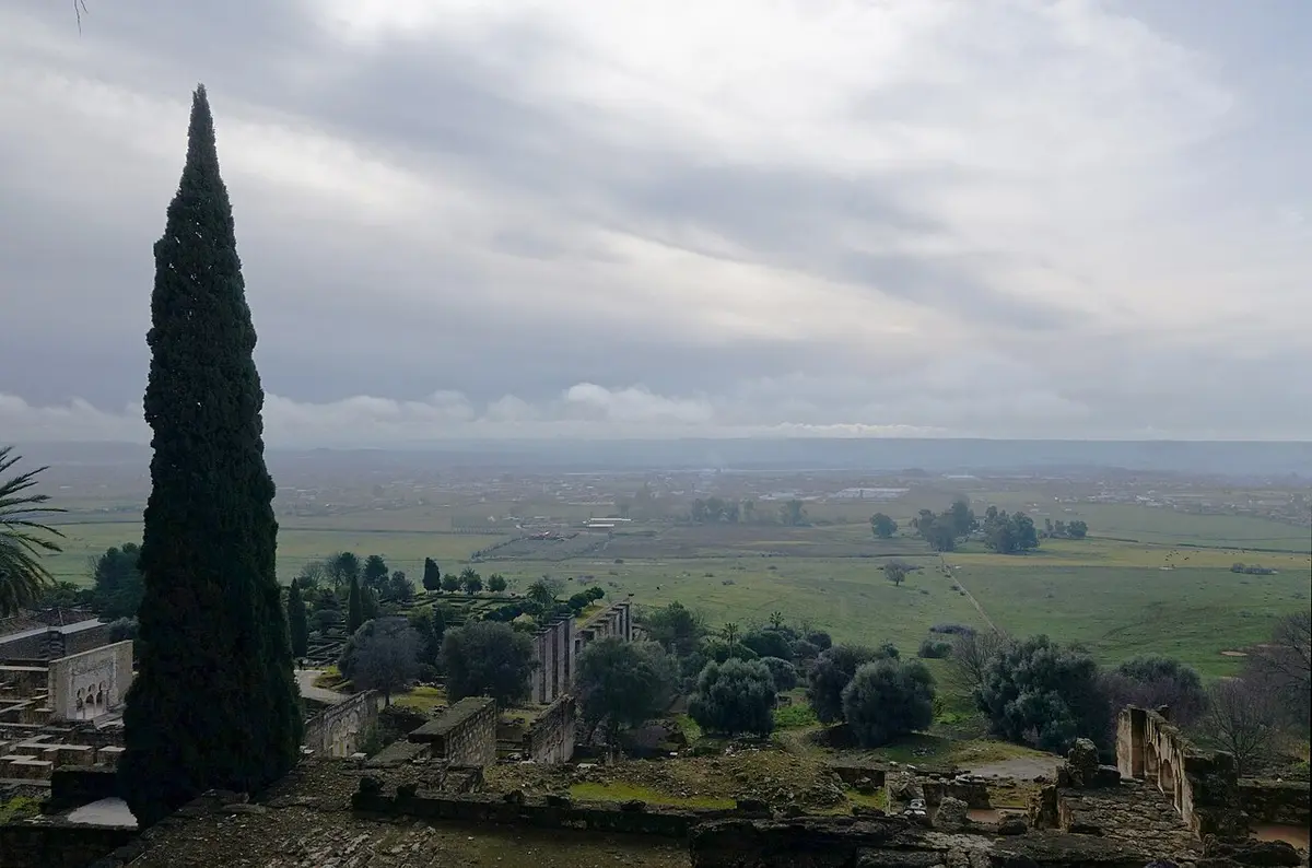 Vista de las ruinas de la ciudad palatina de Medina Azahara con un ciprés y la llanura al fondo